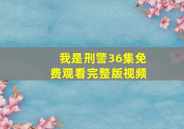 我是刑警36集免费观看完整版视频