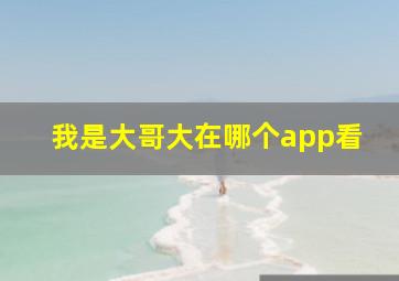 我是大哥大在哪个app看