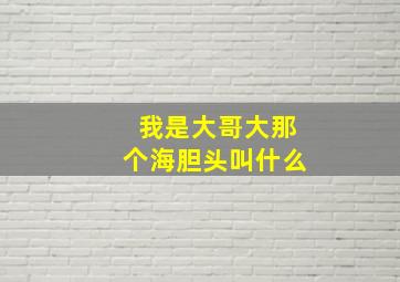 我是大哥大那个海胆头叫什么