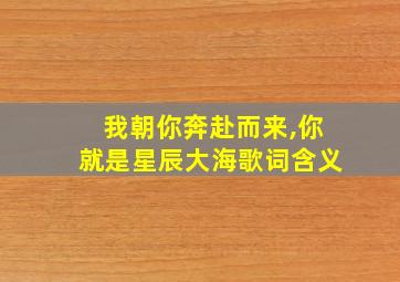 我朝你奔赴而来,你就是星辰大海歌词含义