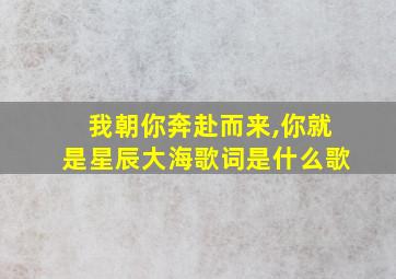 我朝你奔赴而来,你就是星辰大海歌词是什么歌