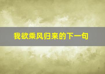 我欲乘风归来的下一句