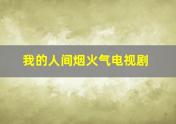 我的人间烟火气电视剧