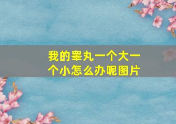 我的睾丸一个大一个小怎么办呢图片