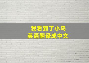 我看到了小鸟英语翻译成中文