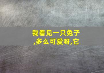 我看见一只兔子,多么可爱呀,它