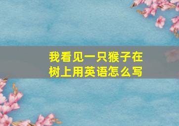 我看见一只猴子在树上用英语怎么写