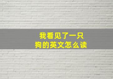 我看见了一只狗的英文怎么读