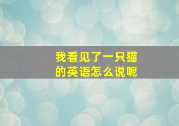 我看见了一只猫的英语怎么说呢