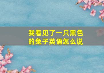 我看见了一只黑色的兔子英语怎么说