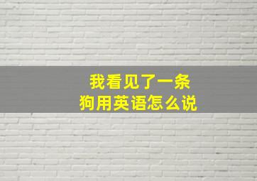 我看见了一条狗用英语怎么说