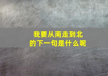 我要从南走到北的下一句是什么呢