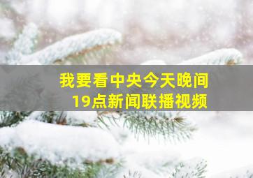 我要看中央今天晚间19点新闻联播视频