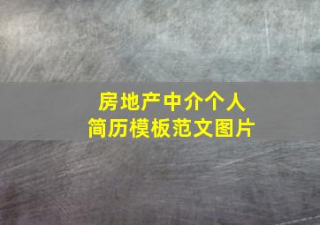 房地产中介个人简历模板范文图片