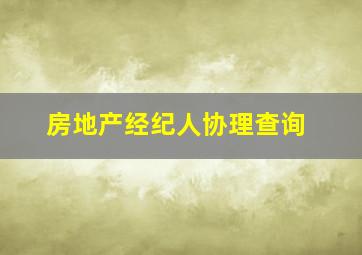 房地产经纪人协理查询