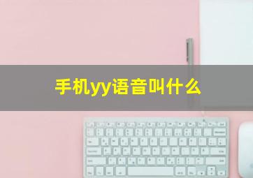 手机yy语音叫什么