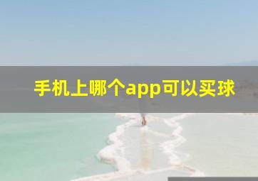 手机上哪个app可以买球