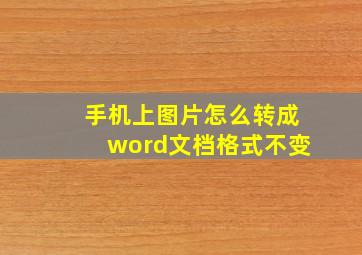 手机上图片怎么转成word文档格式不变