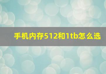 手机内存512和1tb怎么选