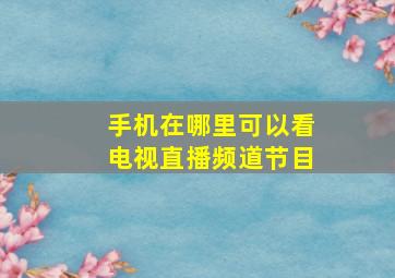 手机在哪里可以看电视直播频道节目