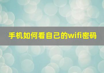 手机如何看自己的wifi密码