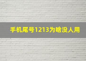 手机尾号1213为啥没人用