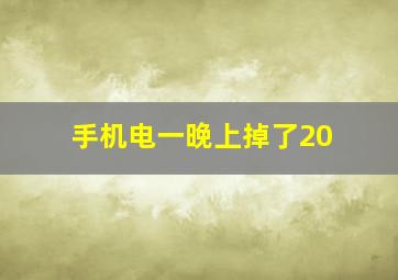 手机电一晚上掉了20