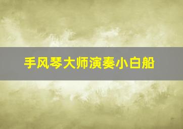 手风琴大师演奏小白船