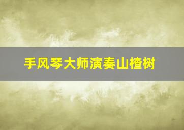 手风琴大师演奏山楂树