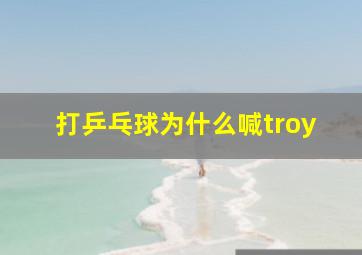 打乒乓球为什么喊troy