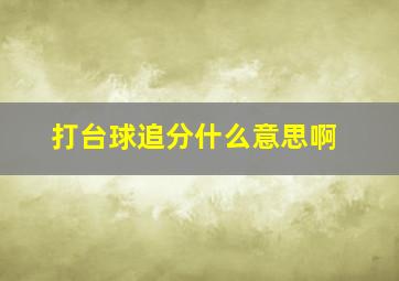 打台球追分什么意思啊