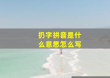 扔字拼音是什么意思怎么写