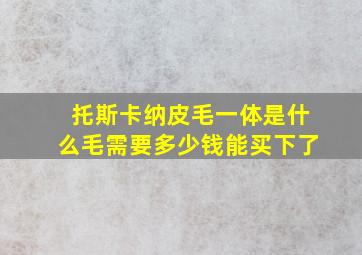 托斯卡纳皮毛一体是什么毛需要多少钱能买下了