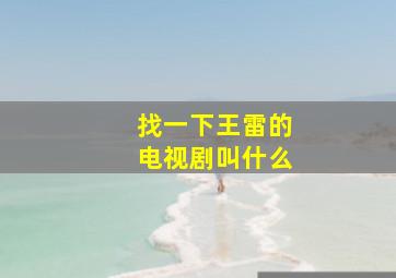 找一下王雷的电视剧叫什么