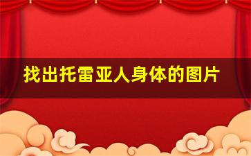 找出托雷亚人身体的图片