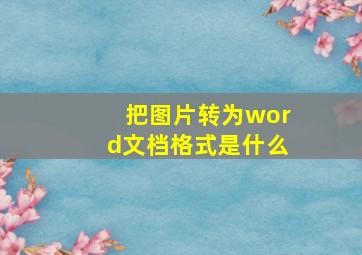 把图片转为word文档格式是什么