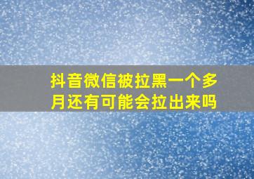 抖音微信被拉黑一个多月还有可能会拉出来吗