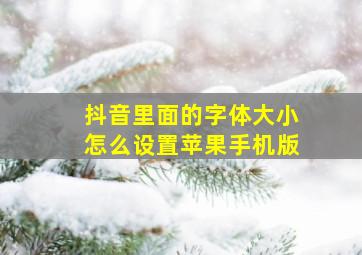 抖音里面的字体大小怎么设置苹果手机版