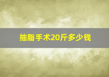 抽脂手术20斤多少钱