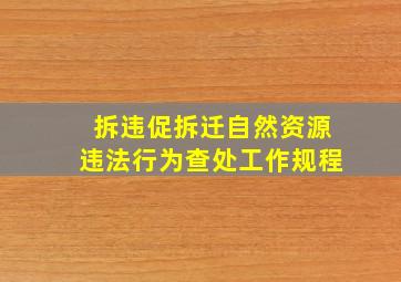 拆违促拆迁自然资源违法行为查处工作规程