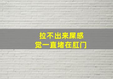 拉不出来屎感觉一直堵在肛门