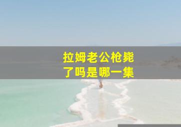 拉姆老公枪毙了吗是哪一集