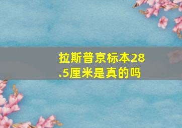 拉斯普京标本28.5厘米是真的吗