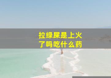 拉绿屎是上火了吗吃什么药