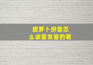 拔萝卜拼音怎么读音发音的呢