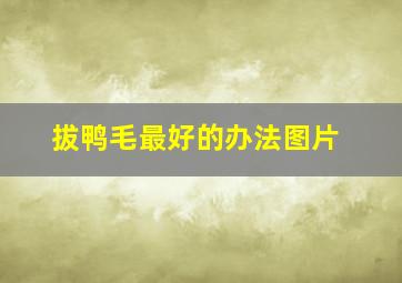 拔鸭毛最好的办法图片