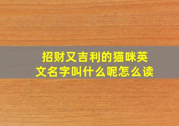 招财又吉利的猫咪英文名字叫什么呢怎么读