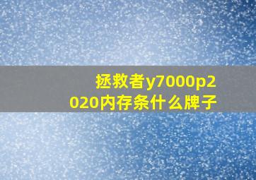 拯救者y7000p2020内存条什么牌子