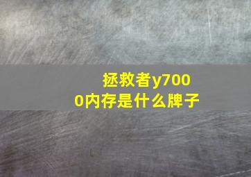 拯救者y7000内存是什么牌子