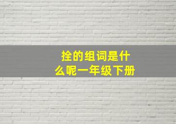 拴的组词是什么呢一年级下册